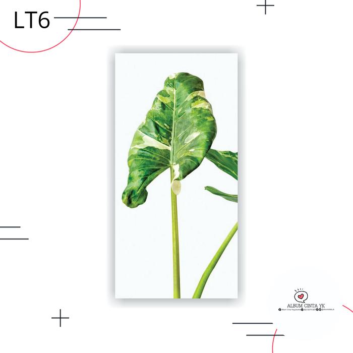 Gambar Hiasan Dinding Tropical Leaves Rustic 6 Wall Decor Home Decor dari homedecoryogya undefined Tokopedia