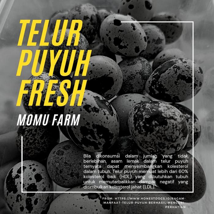 Telur Puyuh Kolesterol Telur Puyuh Kolesterol