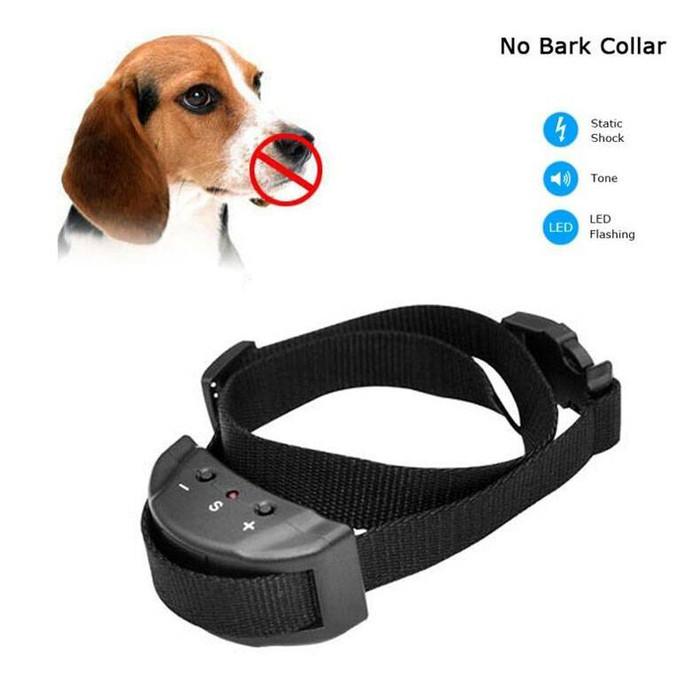 Anjing Dog Academy Near Me Anti Bark Collar Near Me Jual Dog No