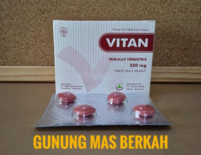 Gambar VITAN vitan 250mg - untuk kesehatan tubuh - Per Box dari Gunung Mas Berkah undefined Tokopedia
