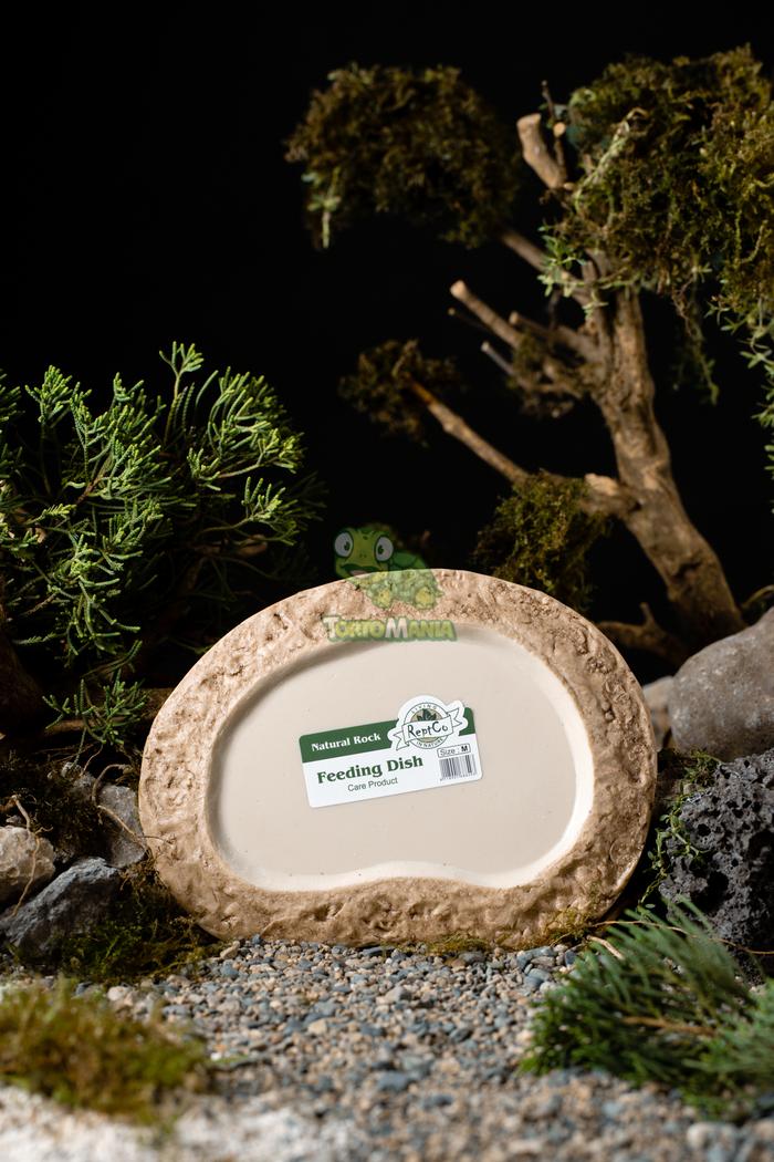 Gambar Feeding dish size M / tempat makan reptil / kura kura darat dari TortoMania undefined Tokopedia