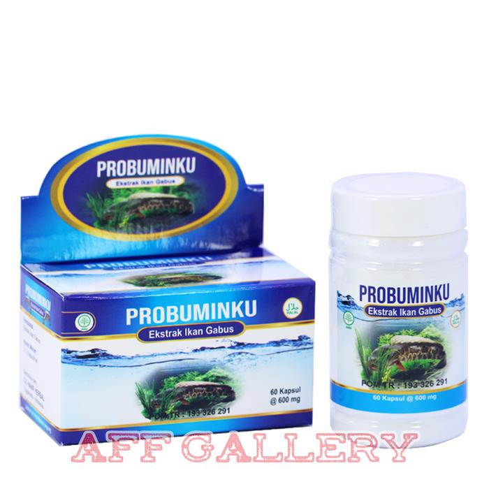 Gambar Ekstrak Ikan Gabus PROBUMINKU | Kapsul PROBUMINKU 60 kapsul dari Etamilku Official undefined Tokopedia