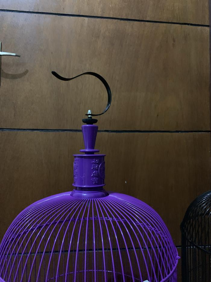Gambar sangkar burung lovebird bulat - Ungu dari Ranger Kios Burung undefined 4 Tokopedia