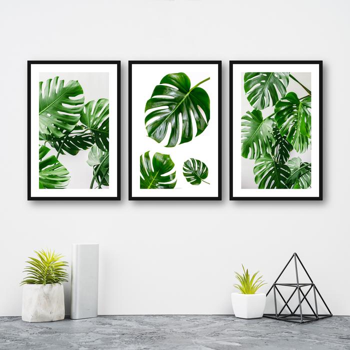 Gambar Hiasan Dinding Art Wall Decor Dekorasi Poster Kayu MDF Monstera 2 - 15 x 30 cm, MST-04 dari Naura El Shop undefined Tokopedia