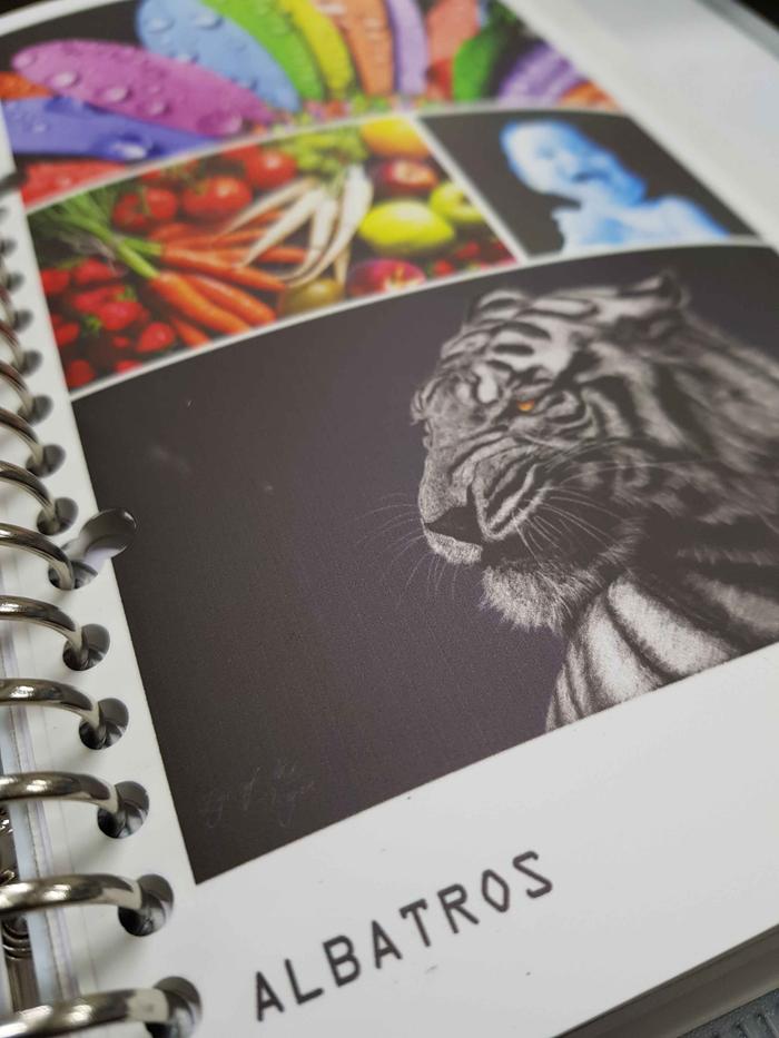 Gambar Print/Cetak Layar Roll-Up Banner Ukuran 60X160 / 80X200 / 85X200 - 85 X 200 cm, Luster dari WIDJI Tamansari Bandung undefined Tokopedia