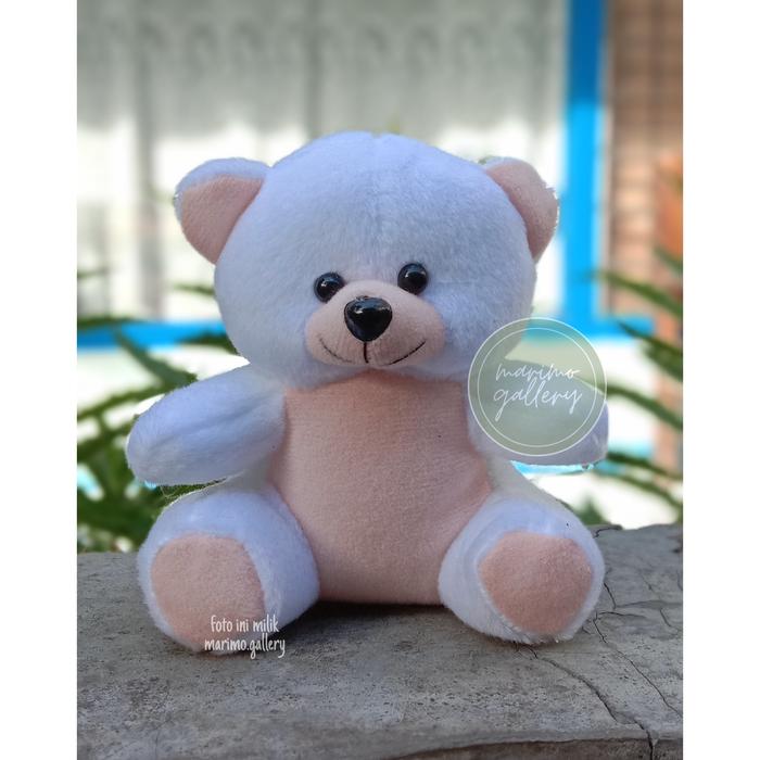 Gambar Boneka mini , boneka buket ,boneka wisuda - Putih dari marimo.gallery undefined Tokopedia