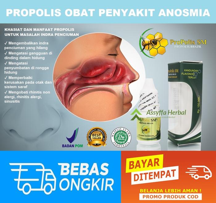 Jual Obat Gangguan Indra Penciuman Berkurang Obat Indra Penciuman Melemah Jakarta Timur Assyffa Herbal Tokopedia