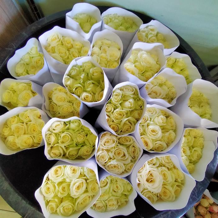 Gambar Bunga Mawar Segar Setara Import || 20 tangkai || Bunga mawar || segar - Putih dari Aurel Florist undefined Tokopedia