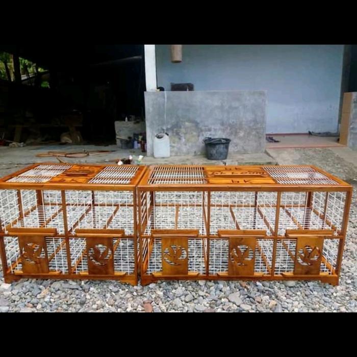 Gambar sangkar burung merpati /dongdang dari bumen sport undefined Tokopedia