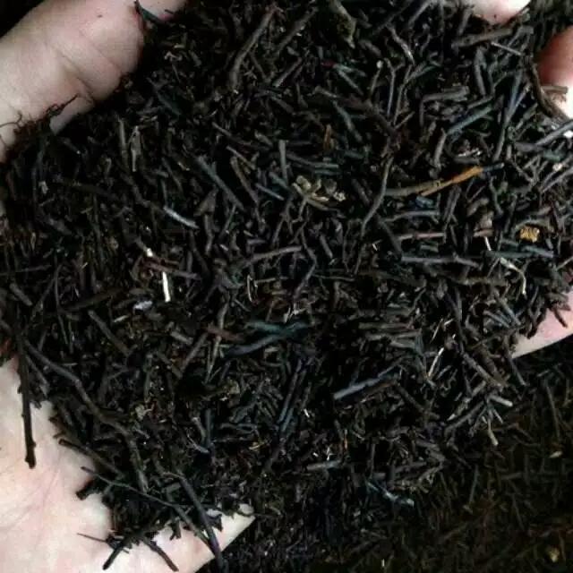 Gambar pakis cacah /500 grM dari HERA STORE 17 undefined Tokopedia