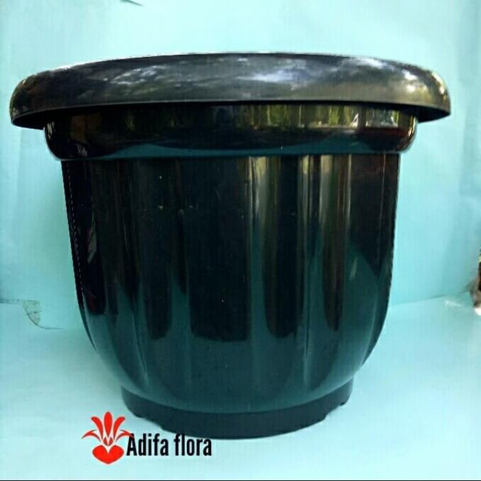 Gambar pot plastik 50cm - ukuran 50 dari Shlikongpoy Flora undefined Tokopedia