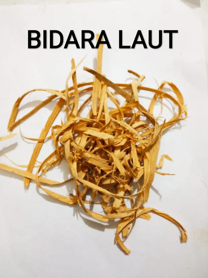 Gambar Bidara laut 1 kg dari Kusuma Dewi Jogja undefined Tokopedia