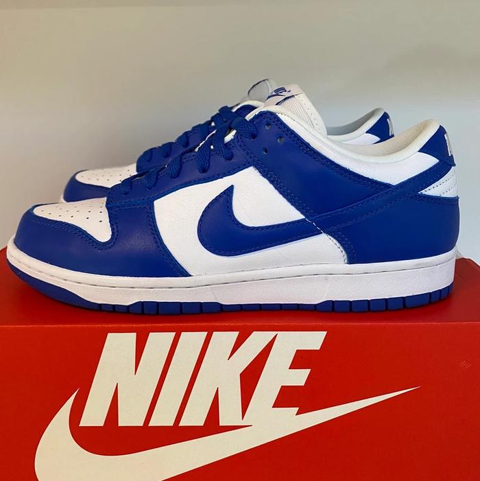kentucky dunks shoes