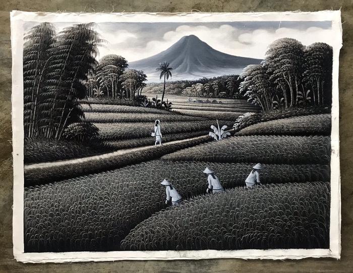 Gambar Lukisan Pemandangan Panen Sawah Hitam Putih, Ukuran 80 x 60 cm - sawah 1 dari Bhuana Painting undefined Tokopedia