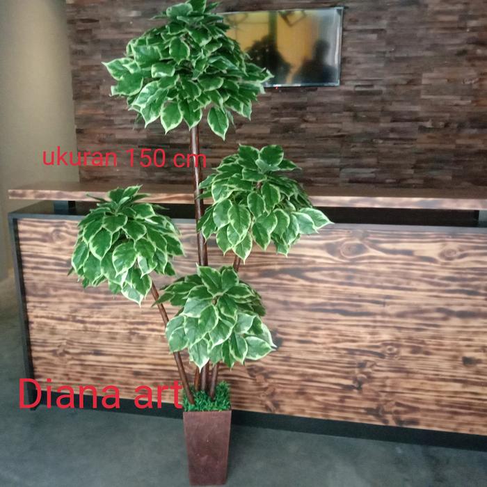Gambar bonsai#bonsai sinfu#bonsai hias/bonsai tiruan/daun artificial - 150 cm dari Bunga plastik Diana Art undefined Tokopedia