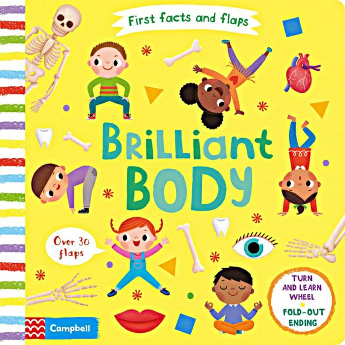 Gambar First Facts And Flaps: Brilliant Body (HC) - Campbell Books dari YellowCoconut undefined Tokopedia