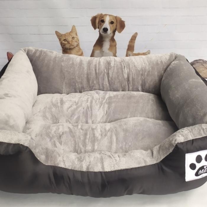 large dog beds b&m