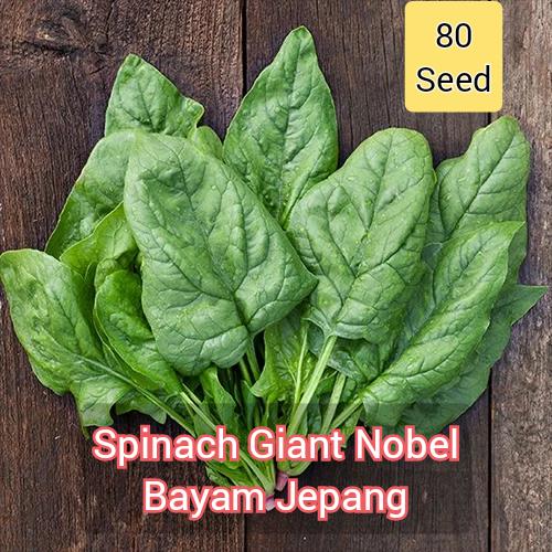 Gambar Benih-bibit Bayam Jepang Giant Nobel dari Ajaba Nursery undefined Tokopedia