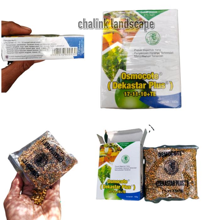 Gambar FLORA45 Dekastar Plus Daun / Osmocote 17 11 10 + TE - 100 grm dari chalink landscape undefined Tokopedia