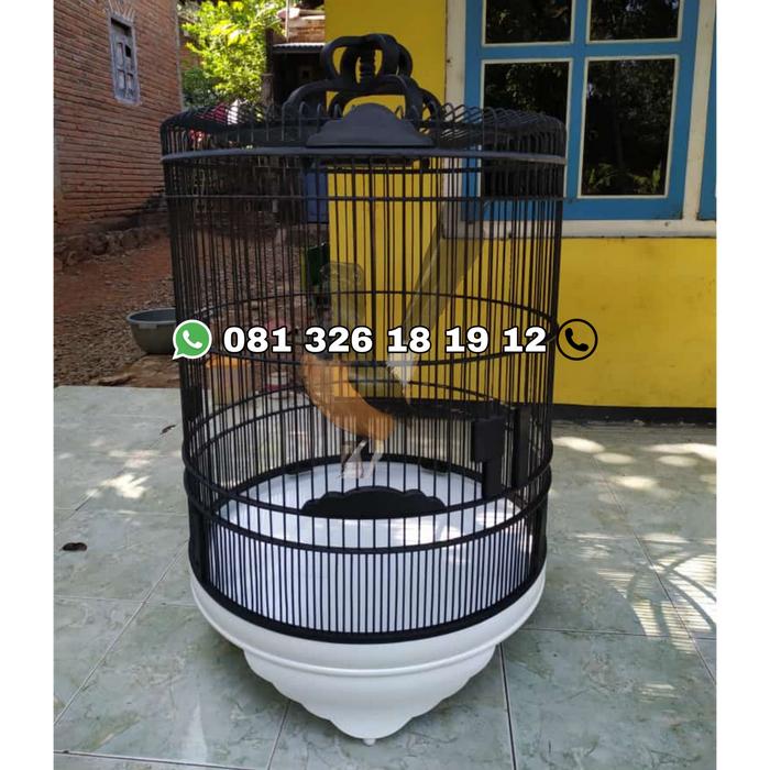 Jual Sangkar Burung Murai Batu Hitam Putih Kab Jepara Ff Fendifurniture Tokopedia