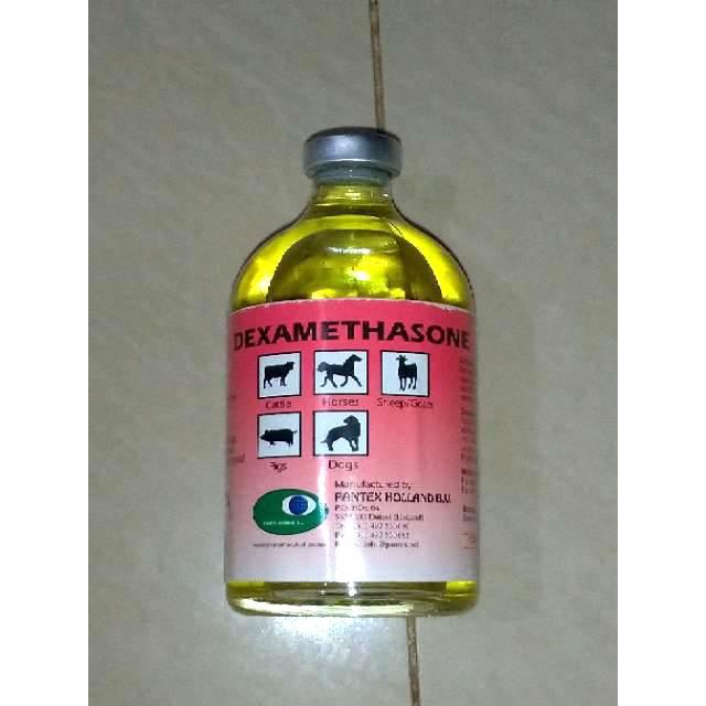 Jual Pantex Obat Injeksi Dexa Lumpuh Pincang Pada Hewan Ternak Unggas Kota Medan Lnx Shop96 Tokopedia