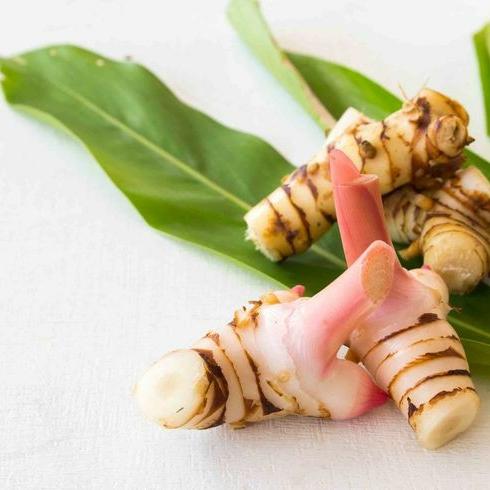 Jual Laja Merah Laos Lengkuas 200 Gram Kota Cimahi Rindu Sayuran Cimahi Tokopedia