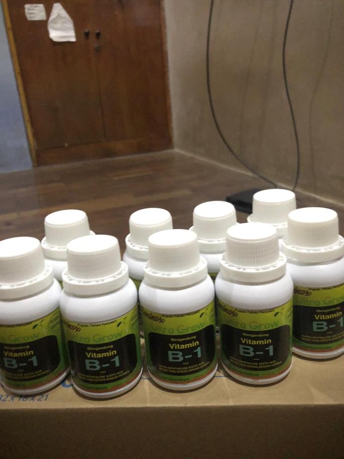 Gambar Pupuk Tanaman Beninox Ultra Grow Vitamin B1 100 ml isi 40 botol dari PT Karya Indah Mas undefined Tokopedia
