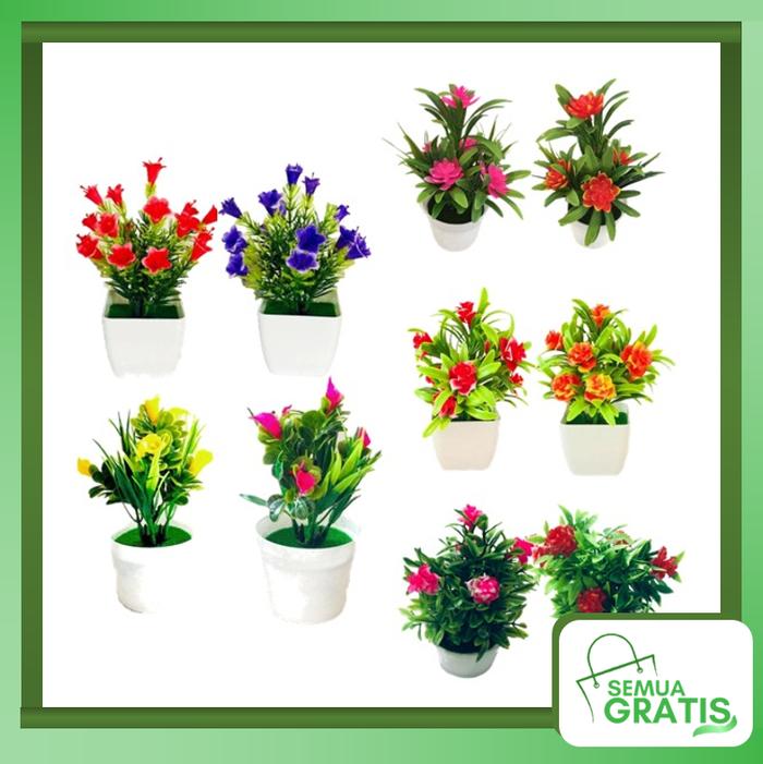 Jual Semua Gratis Tanaman Hias Mini Pot Bunga Bunga Hias Plastik Callalily Merah Kab Tangerang Semua Gratis Tokopedia