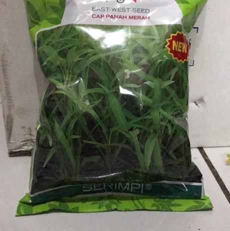 Gambar Benih Kangkung Serimpi 1 kg - Cap Panah Merah dari Sarana Pertanian Tokped undefined Tokopedia