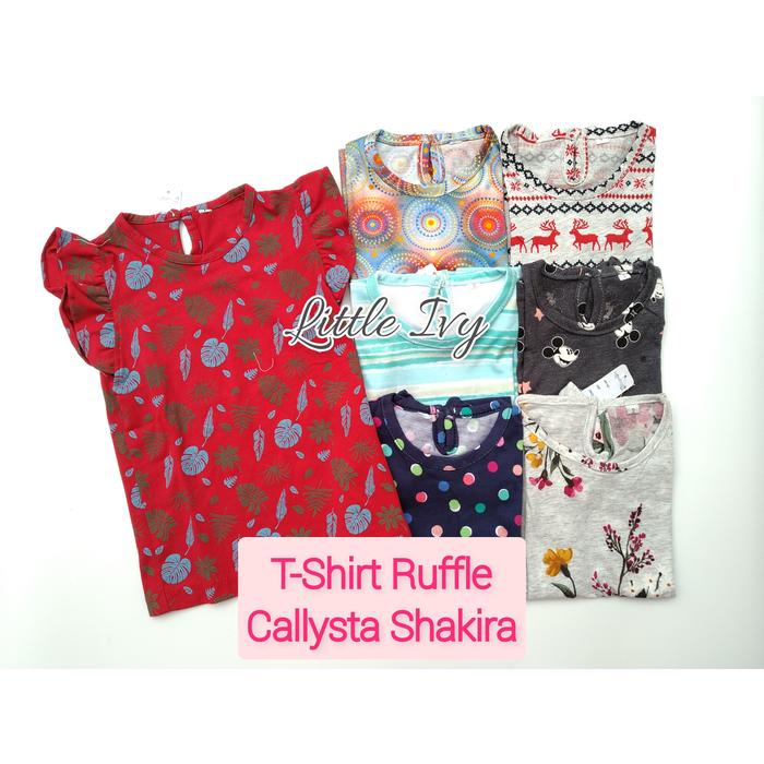 Gambar T-Shirt Ruffle/Atasan Kaos Anak Perempuan/Girl 1,2,3,4,5t Callysta - Sz 5 Mtf Random dari Little Ivy Bookstore undefined Tokopedia