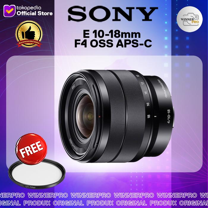 lensa sony fe sel1018