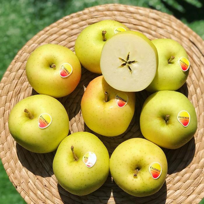 Gambar BUAH APEL TOKI - APEL NO 1 JEPANG - Hijau, 1/2kg dari KIOS BUAH SEGAR OFFICIAL undefined Tokopedia