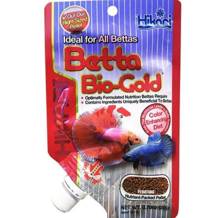 hikari betta gold