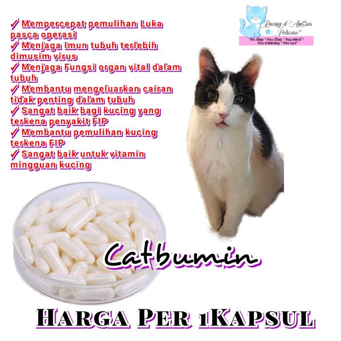 Jual Harga 1kapsul Catbumin Kapsul Pemulihan Kucing Fip Dan Terkena Virus Petbumin Plus Kota Medan Rumah Kucing Medan 2 Tokopedia