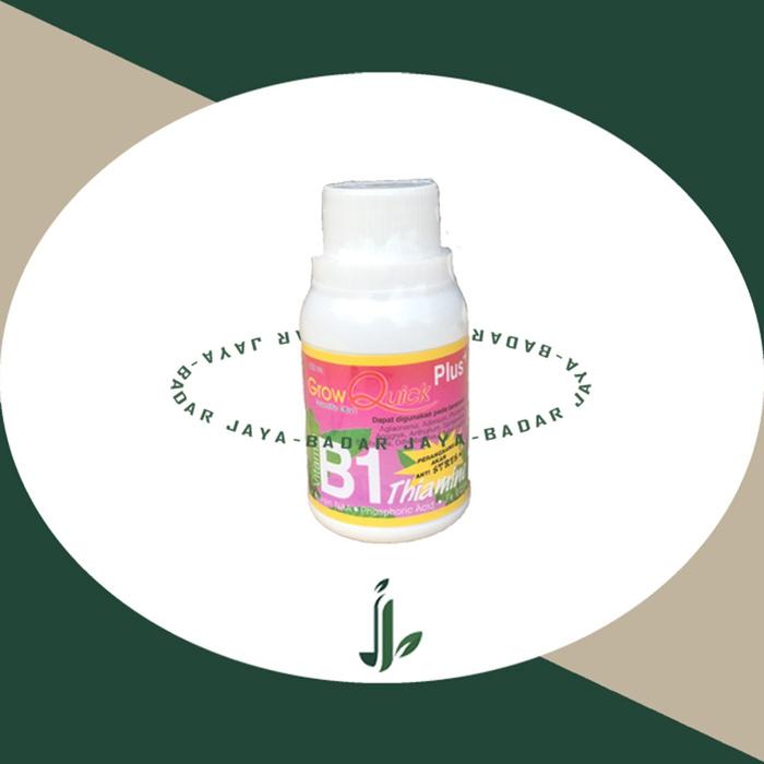 Gambar B1 thiamine plus 100 ml dari BadarJaya24 undefined Tokopedia