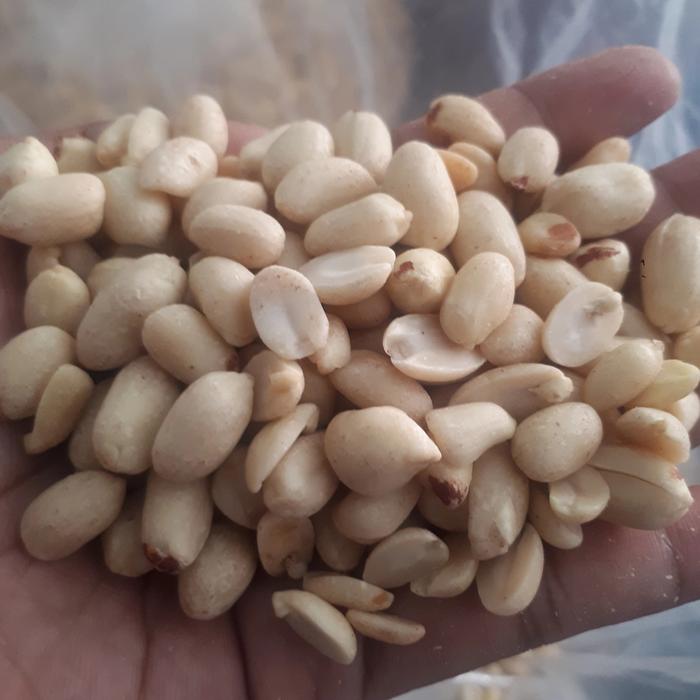 Gambar KACANG TANAH MENTAH PREMIUM dari Toko Sri Diyono Godean undefined Tokopedia
