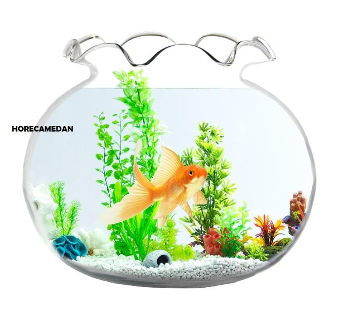 Gambar DLX Aquarium Kaca Jerex Shella kecil min 1,5liter besar max 17liter - 10,5L shella E dari Horecamedan undefined Tokopedia