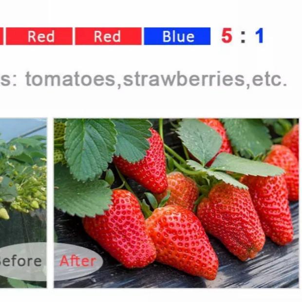 Gambar Full Spectrum Grow Light tahan air 1 meter - Merah dari azkaleo undefined Tokopedia