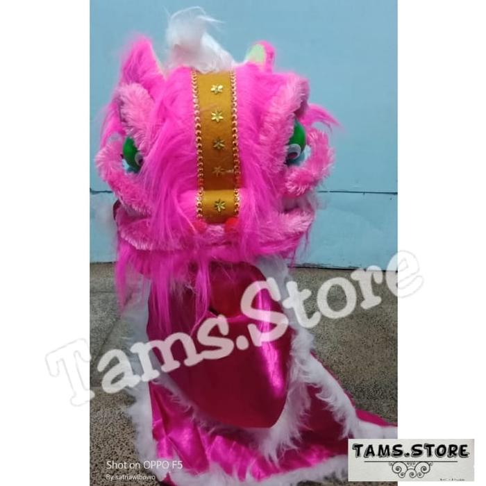 Gambar barongsai mini mata nyala - Pink dari Tams,Store undefined Tokopedia