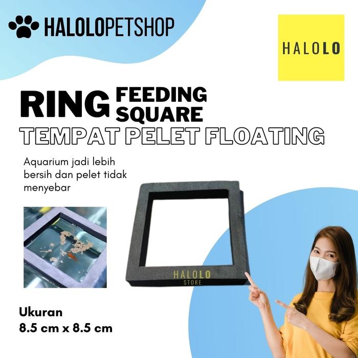 Gambar Feeding Ring Aquarium Floating SQUARE KOTAK Tempat Pelet Pakan Ikan dari Halolo Store undefined Tokopedia