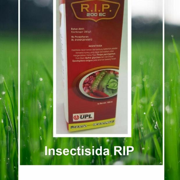 Gambar Insectisida RIP 250 ml dari Saprotan MaZha undefined Tokopedia