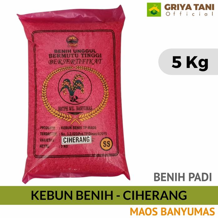 Gambar Benih Padi Kebun Benih CIHERANG Banyumas dari Griya Tani Official undefined Tokopedia
