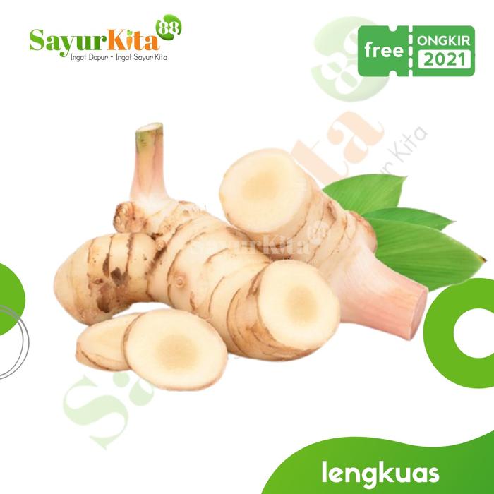 Gambar Lengkuas/Laos Segar - bumbu dapur 500 Gr | 1 Kg - 500 gram dari Lelang Storeee undefined Tokopedia