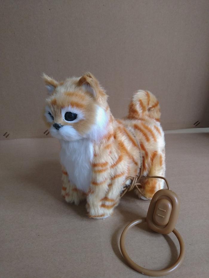 Gambar (READY STOCK) Boneka Kucing music dan Dancing Termurah!!! - Kuning dari Bunny'shop undefined Tokopedia