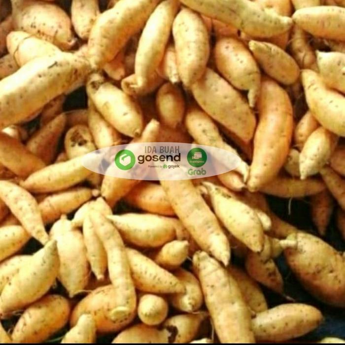Gambar UBI CILEMBU MENTAH 1KG dari IDA BUAH undefined Tokopedia