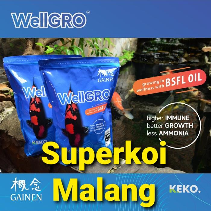 Gambar Wellgro Koi Gainen 2KG 2 KG Pakan Koi Ikan Pelet Well Gro Growth Grow - Ukur L dari Supergame Malang undefined Tokopedia