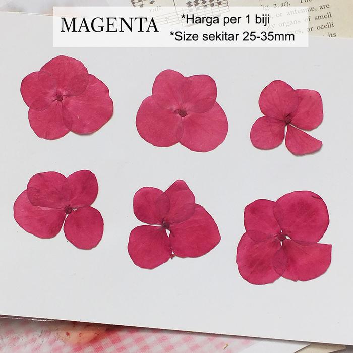 Gambar Bunga Kering ASLI HYDRANGEA Real Dry Pressed Flower Isi Resin Nail Art - Magenta dari Queen Sunny undefined Tokopedia