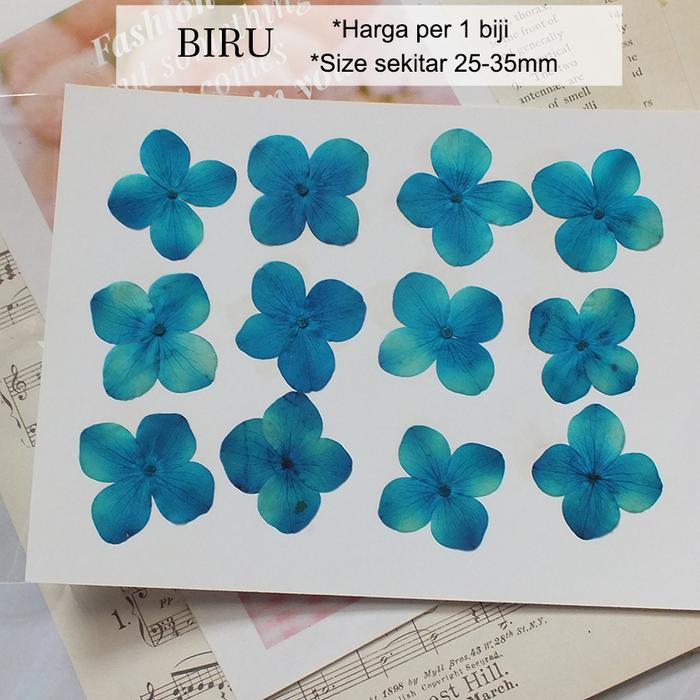 Gambar Bunga Kering ASLI HYDRANGEA Real Dry Pressed Flower Isi Resin Nail Art - Biru dari Queen Sunny undefined Tokopedia