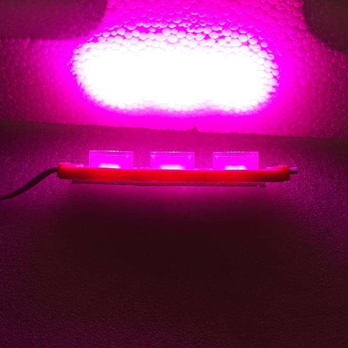 Gambar MODUL 3 LED MATA JUMBO TW 12 VOLT | LED 12V - Pink dari Nuhun. undefined Tokopedia