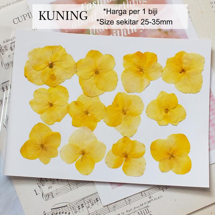 Gambar Bunga Kering ASLI HYDRANGEA Real Dry Pressed Flower Isi Resin Nail Art - Kuning dari Queen Sunny undefined Tokopedia